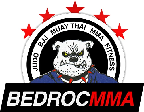 Bedroc MMA academy photo