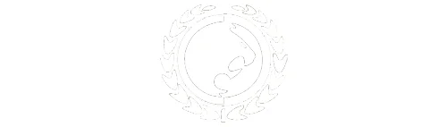Bronx Martial Arts Academy academy logo