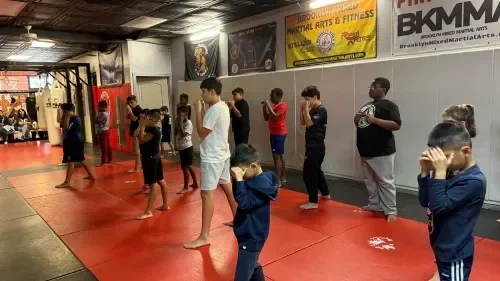 Brooklyn Mixed Martial Arts academy logo
