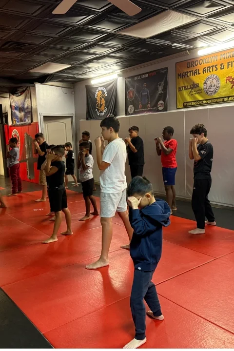 Brooklyn Mixed Martial Arts facility image