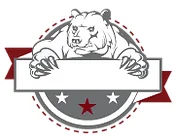 Buffalo Brazilian Jiu-Jitsu Academy academy logo