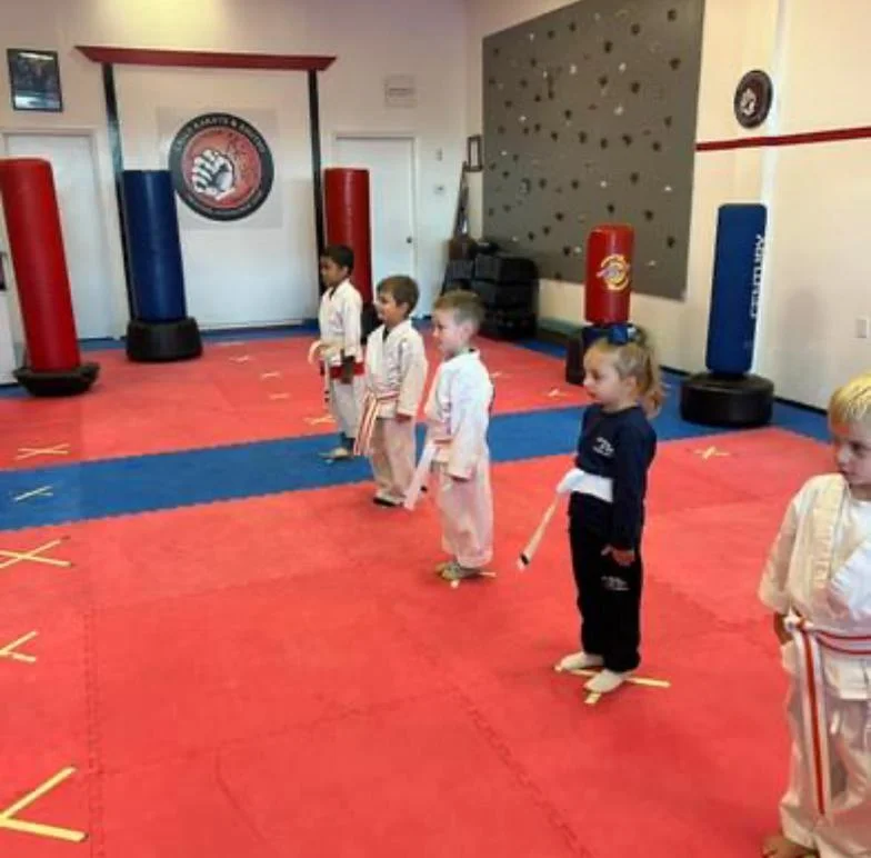 Calla Karate & JuJUTSU academy photo