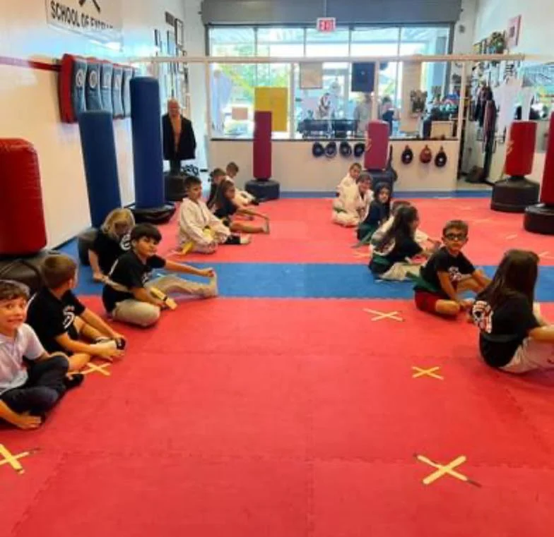 Calla Karate & JuJUTSU academy photo