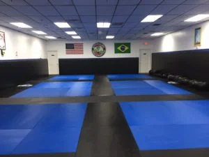 Carlos Henrique Brazilian Jiu-Jitsu academy photo