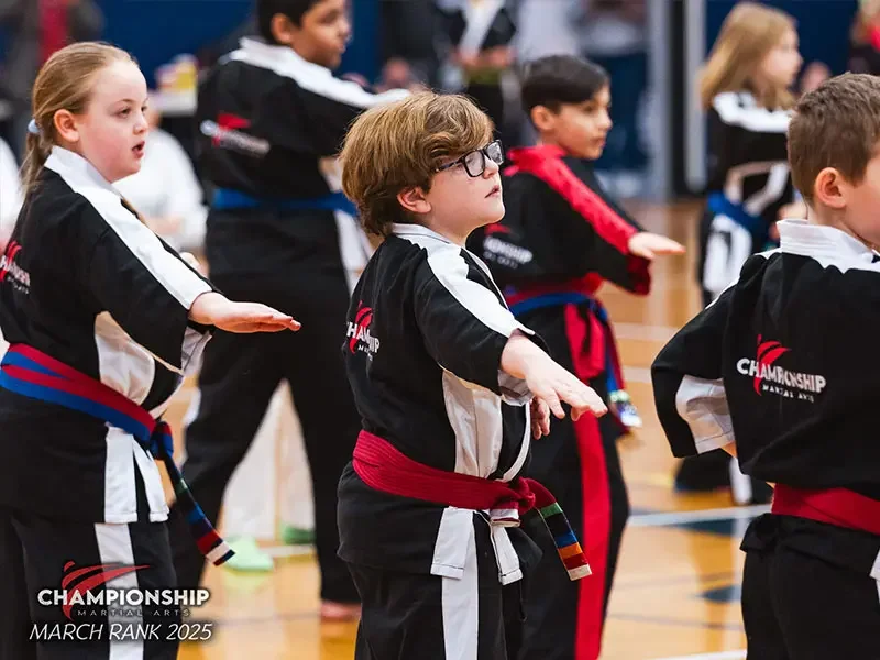 Championship Martial Arts 716 facility image