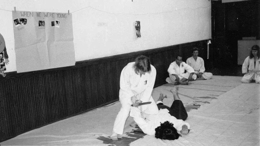 Eizan Ryu Jujitsu visual