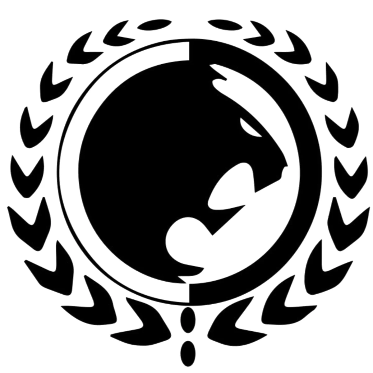 Emerald City Jiu Jitsu academy photo