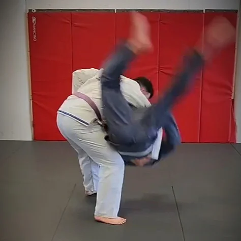 First Response MMA and Behring Jiu-Jitsu LLC academy photo