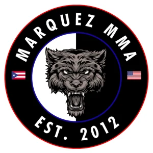HAN HO  MARTIAL ARTS (Secret Weapon MMA division) academy photo