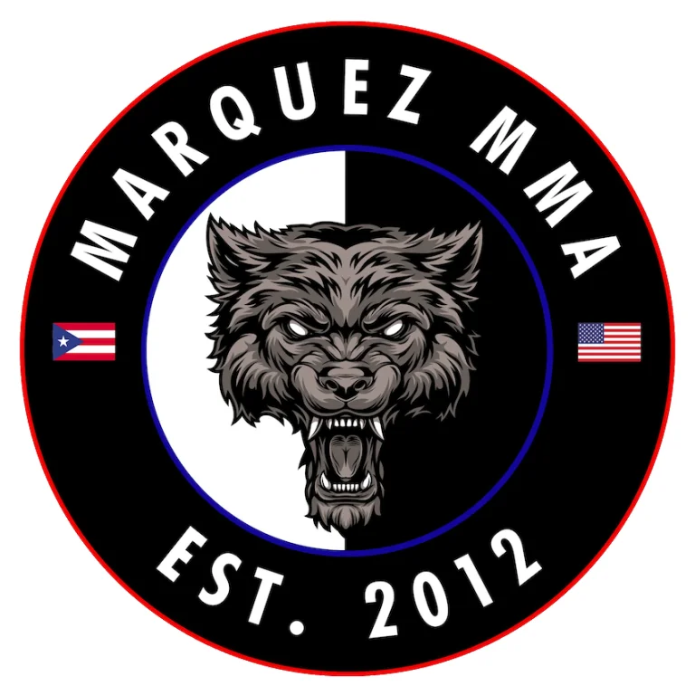 HAN HO  MARTIAL ARTS (Secret Weapon MMA division) academy photo