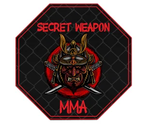 HAN HO  MARTIAL ARTS (Secret Weapon MMA division) academy photo