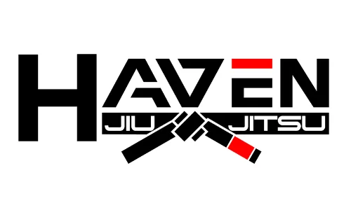 Haven Jiu Jitsu academy photo