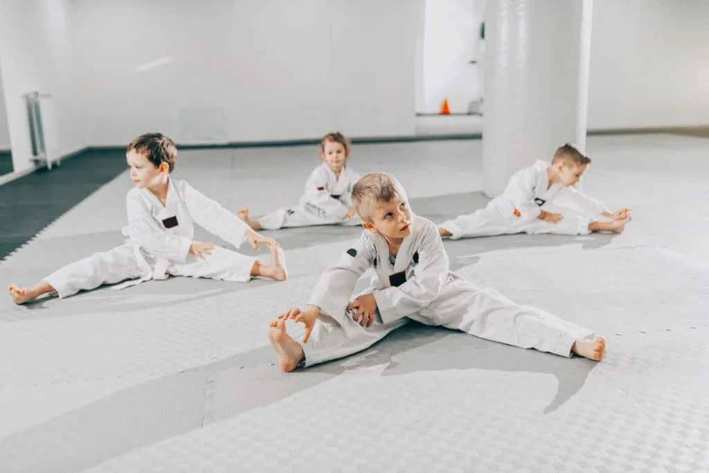 Hiawatha's Martial Arts & Fitness academy photo