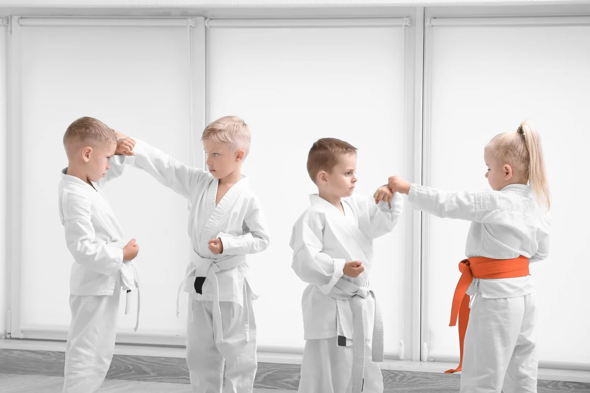 Hiawatha's Martial Arts & Fitness academy photo