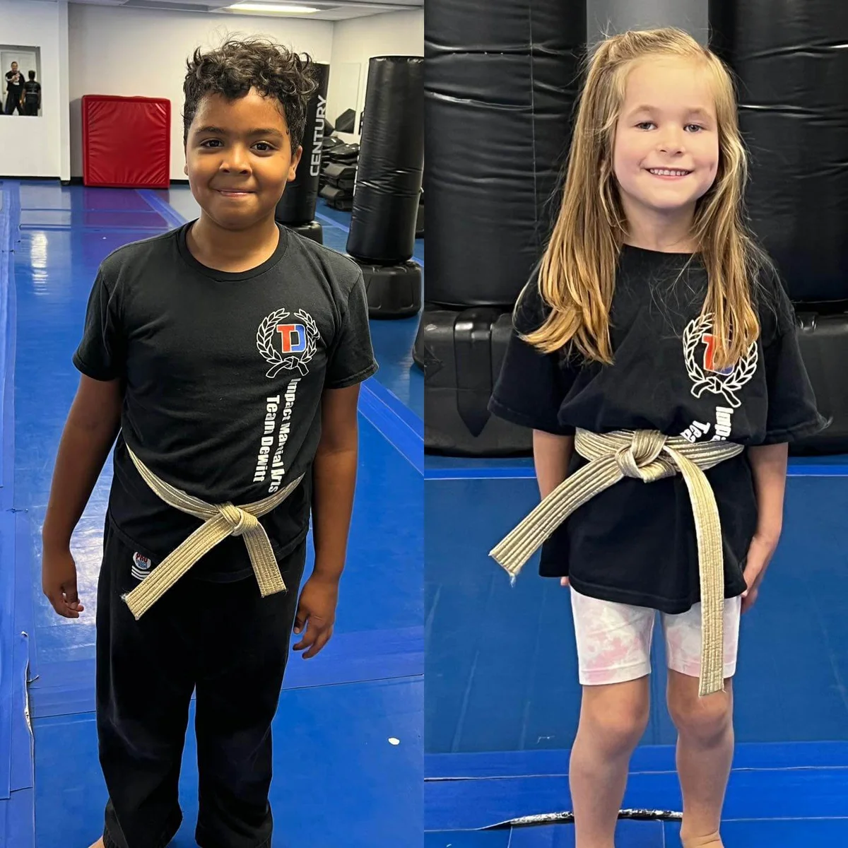 Impact Martial Arts - Team DeWitt facility image