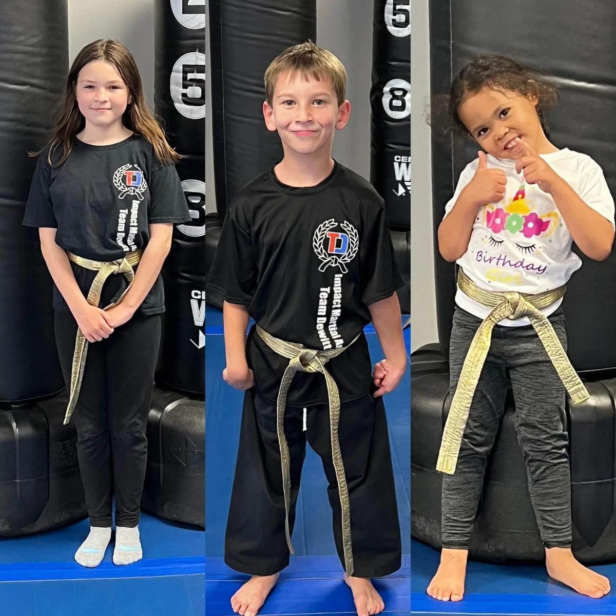 Impact Martial Arts - Team DeWitt facility image
