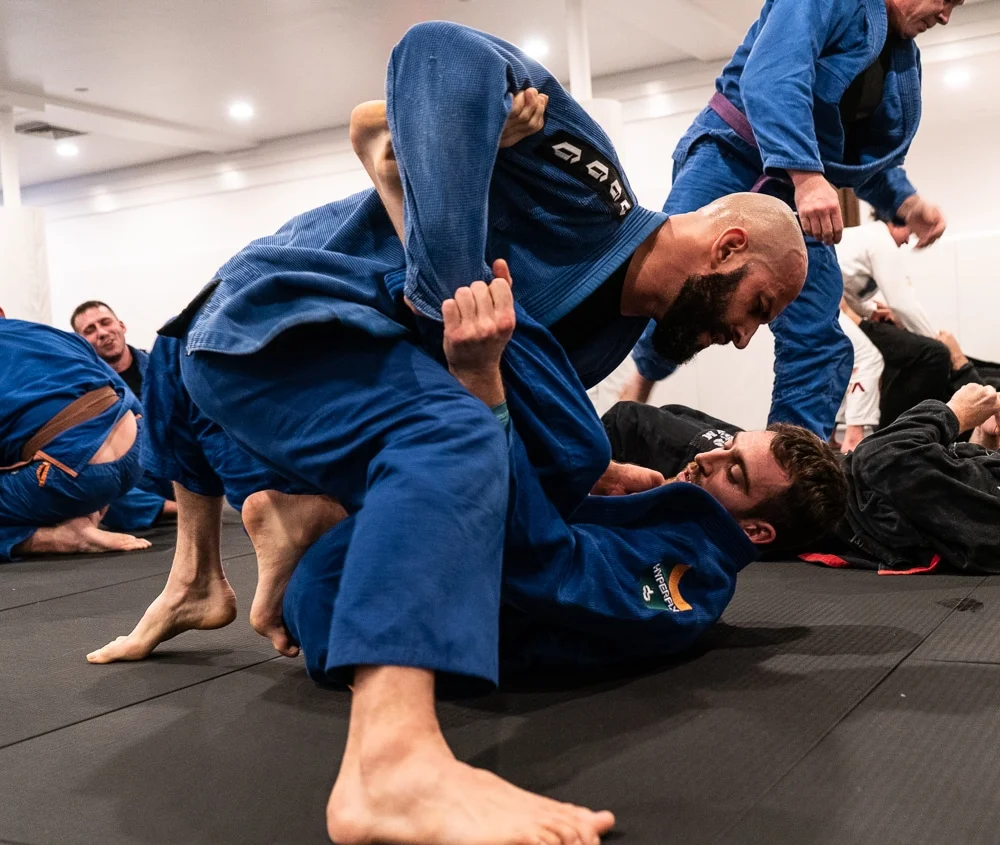 Jiu Jitsu Haus academy photo