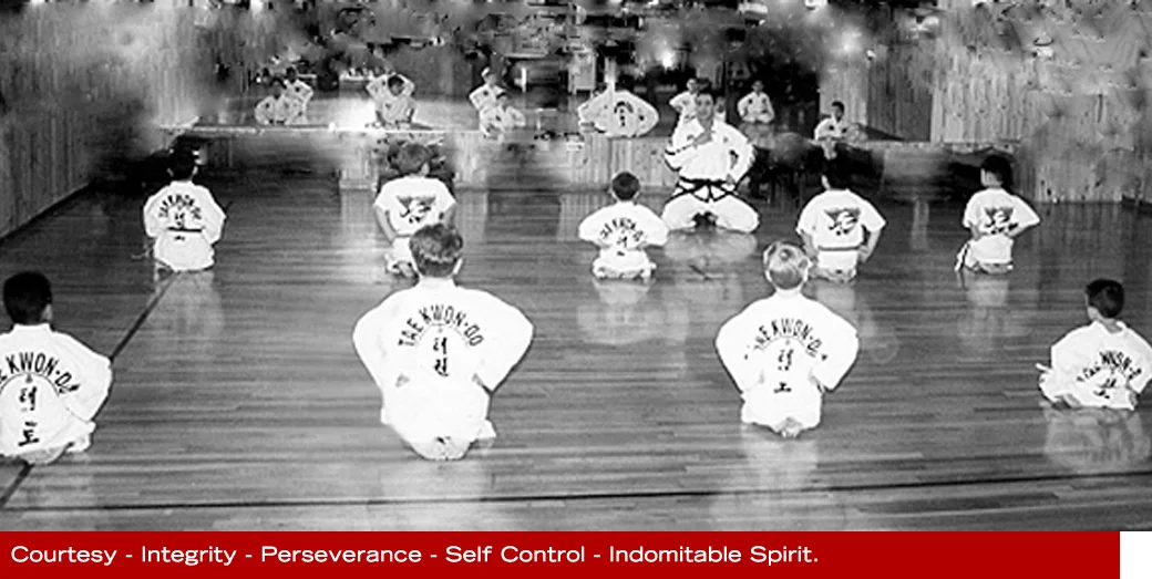 Korean Art of Self Defense facility image