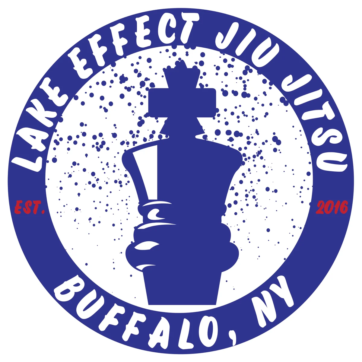 Lake Effect Martial Arts academy logo