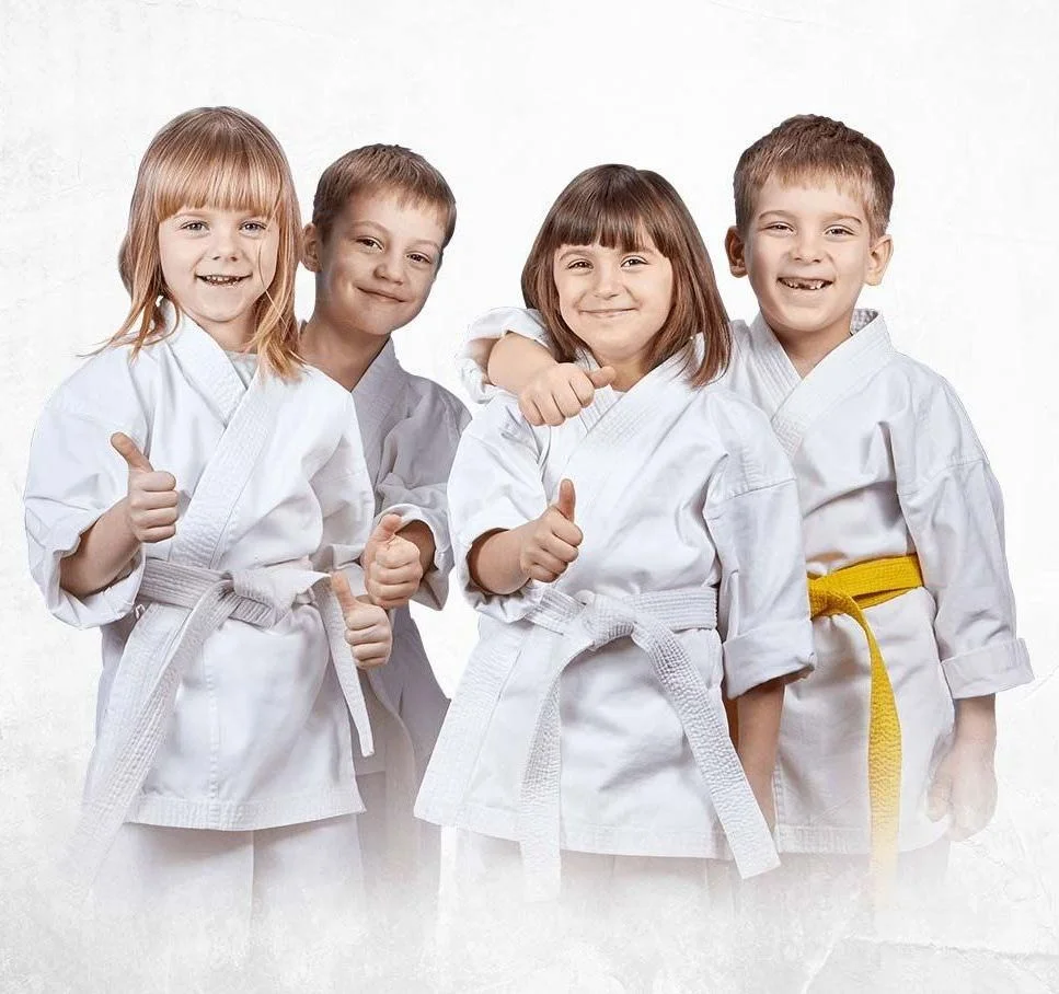 Makoto Jiu Jitsu Centers academy photo