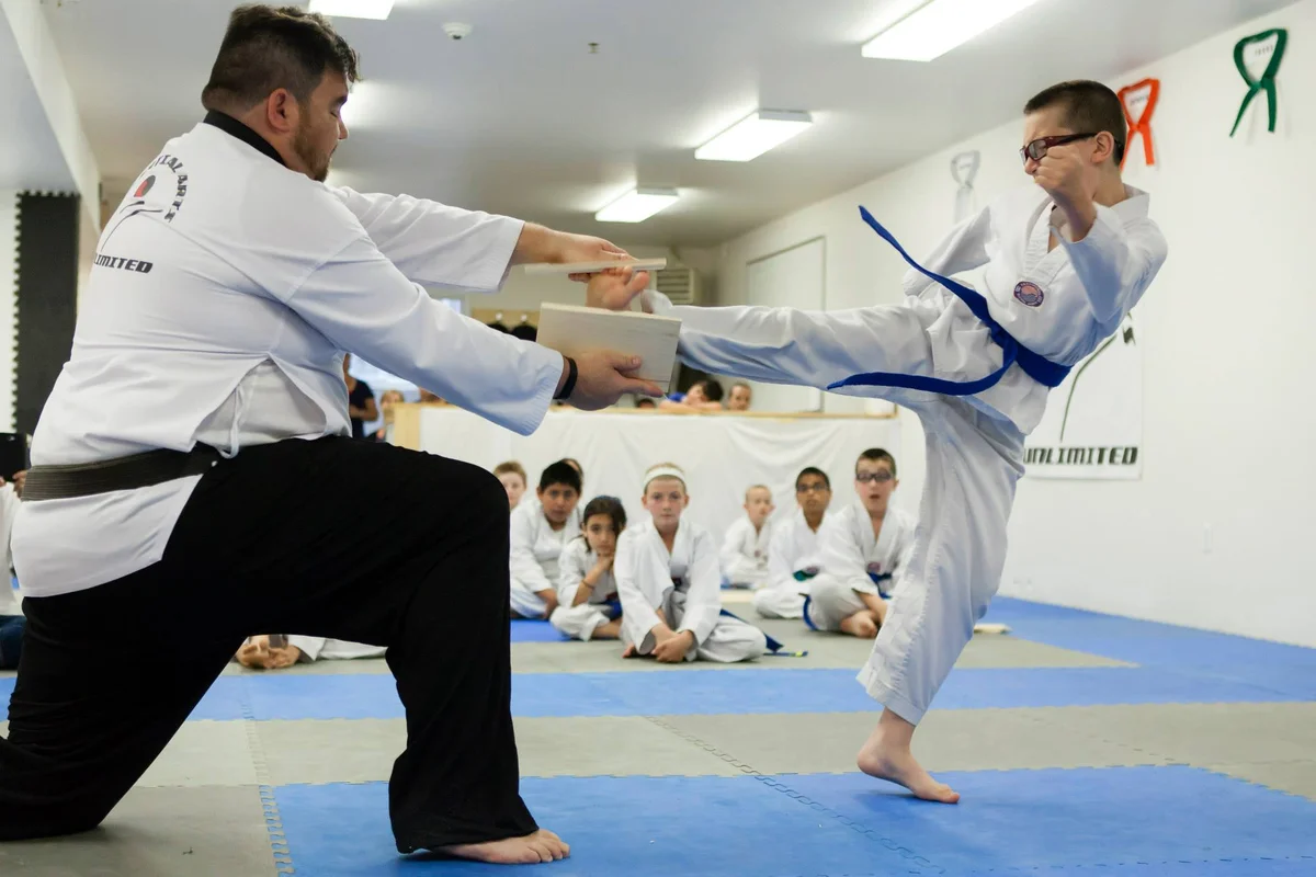 MARTIAL ARTS UNLIMITED academy photo