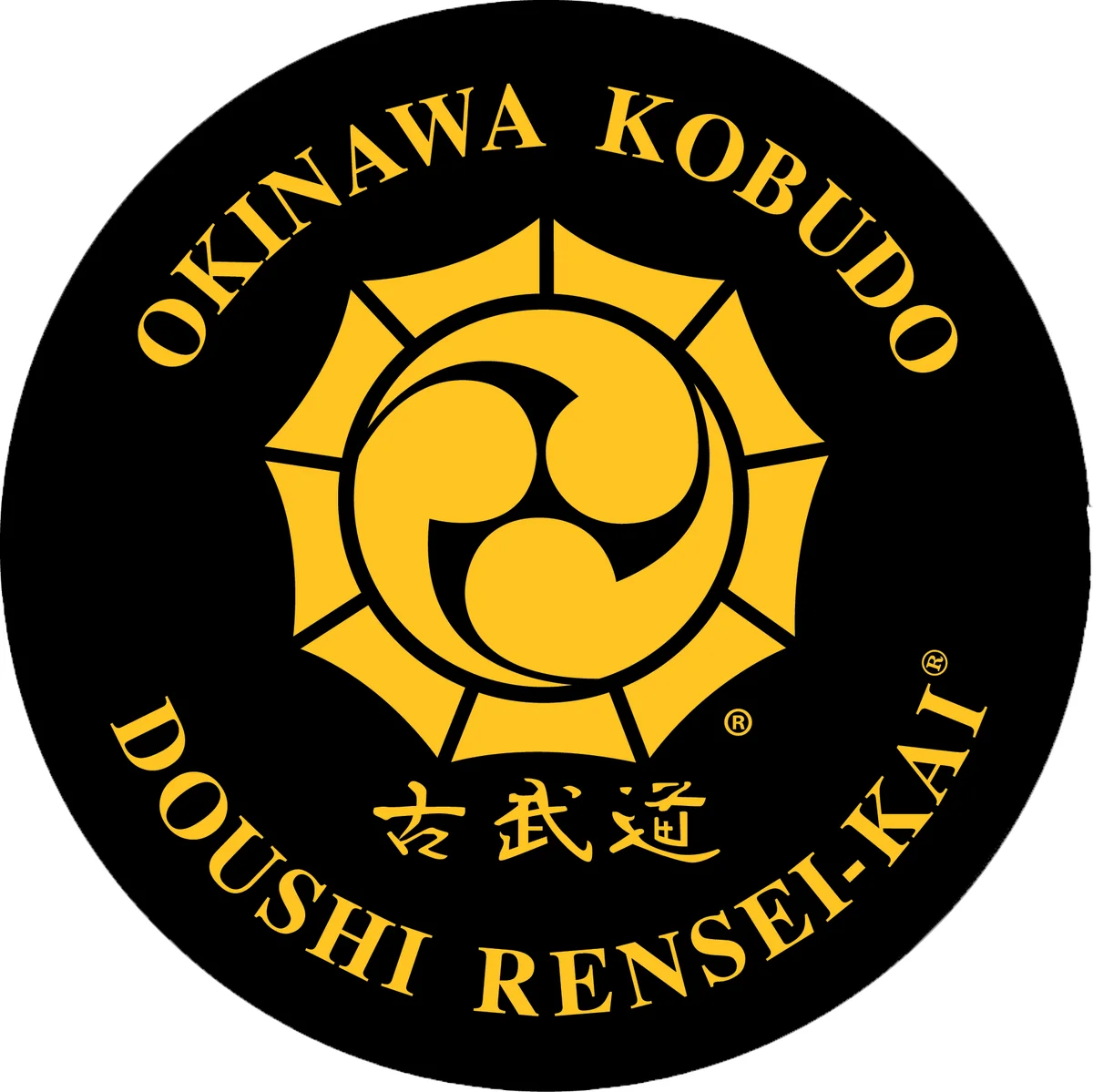 Mountain Stream Budo academy photo