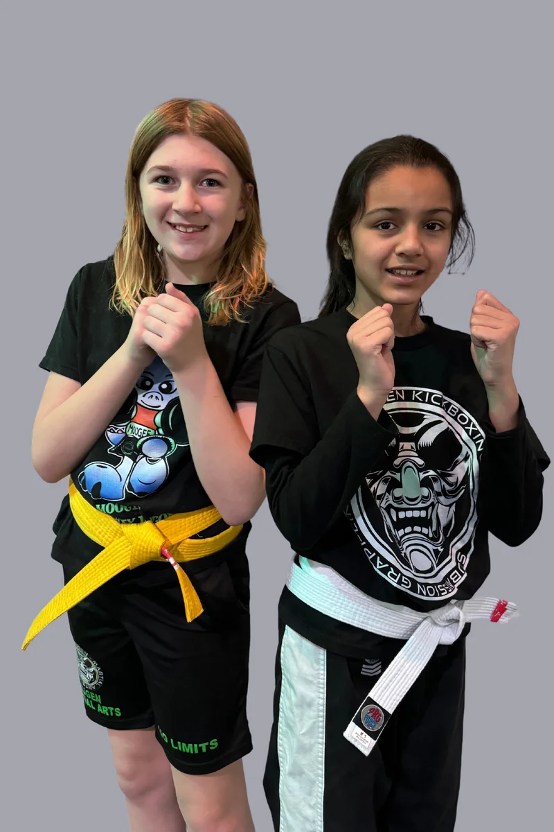 Mugen Martial Arts Horseheads academy photo