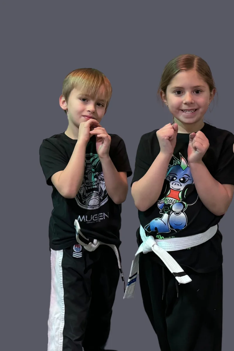 Mugen Martial Arts Horseheads academy photo