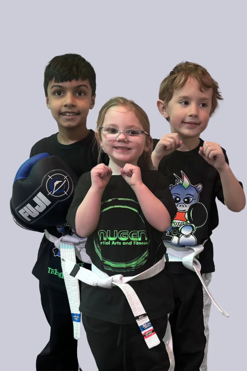 Mugen Martial Arts Horseheads academy photo