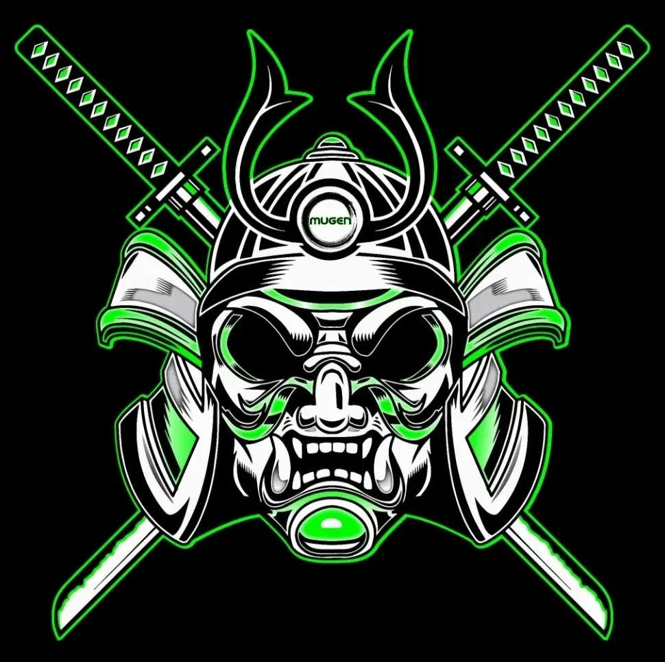 Mugen Martial Arts Horseheads academy photo