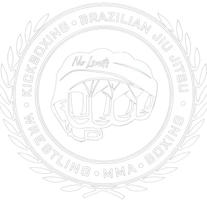 No Limits Kickboxing & Fitness academy logo
