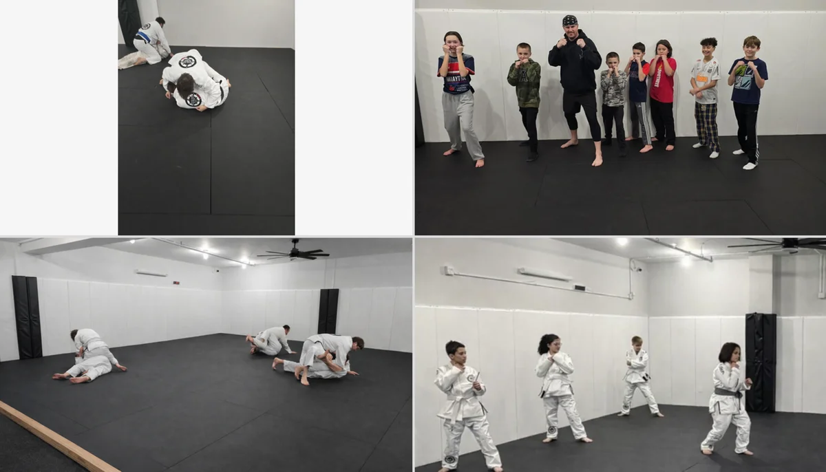 North East Brazilian Jiu-Jitsu & MMA academy photo