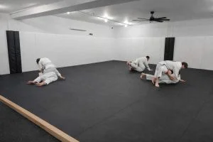 North East Brazilian Jiu-Jitsu & MMA academy photo