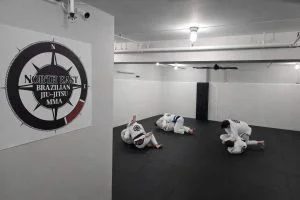 North East Brazilian Jiu-Jitsu & MMA academy photo