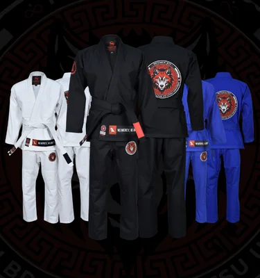 Novakik BJJ facility image
