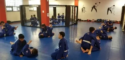 Nubreed Martial Arts Academy academy photo