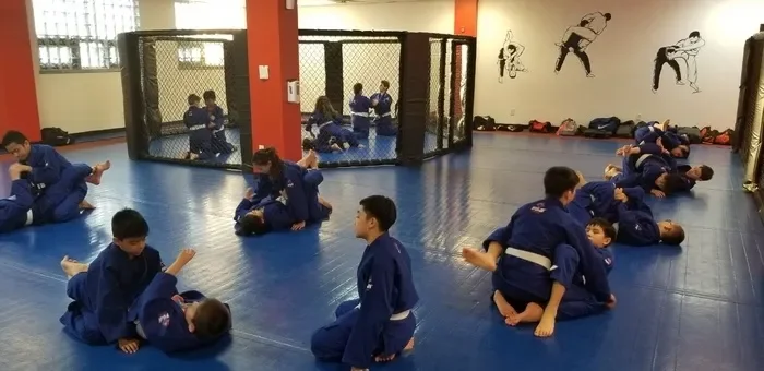 Nubreed Martial Arts Academy academy photo