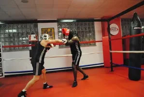 Nubreed Martial Arts Academy academy photo