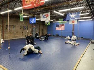 NY United Brazilian Jiu-Jitsu (NY United BJJ) academy photo