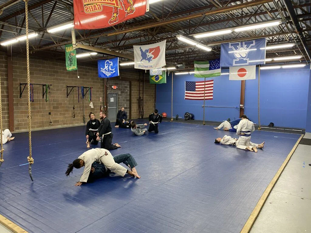 NY United Brazilian Jiu-Jitsu (NY United BJJ) academy photo