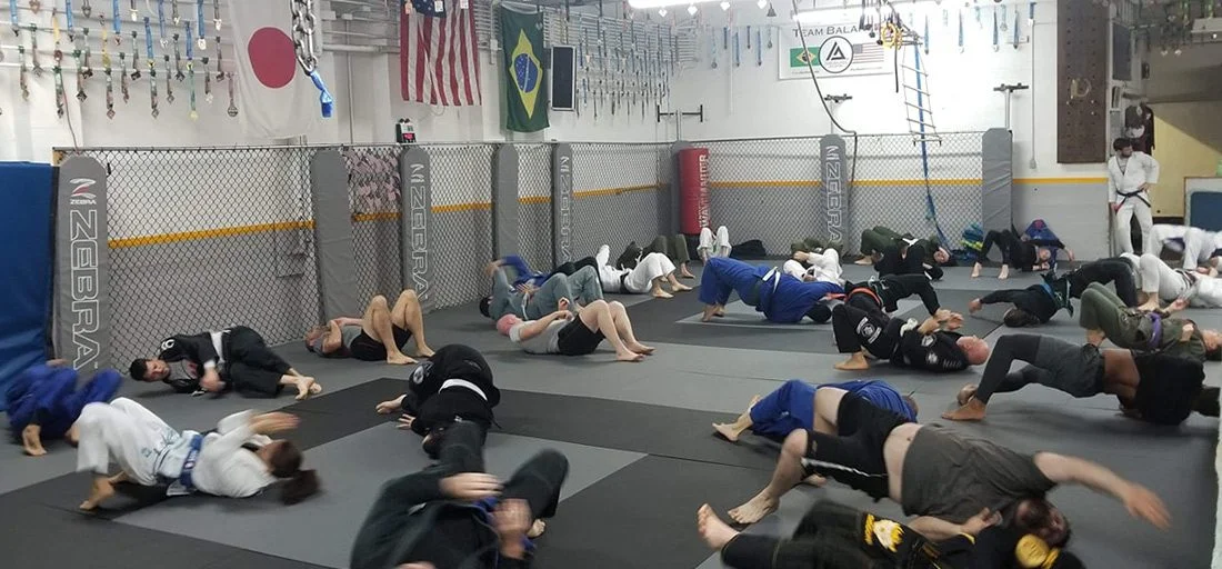 Oneonta Jiu Jitsu Academy academy photo