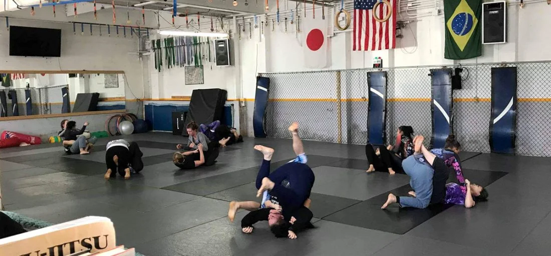 Oneonta Jiu Jitsu Academy academy logo