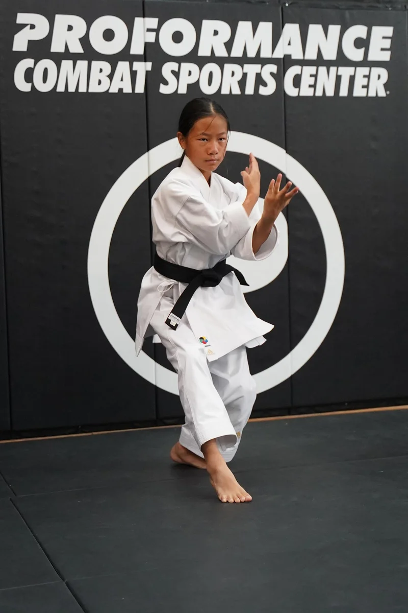 Proformance Combat Sports academy photo