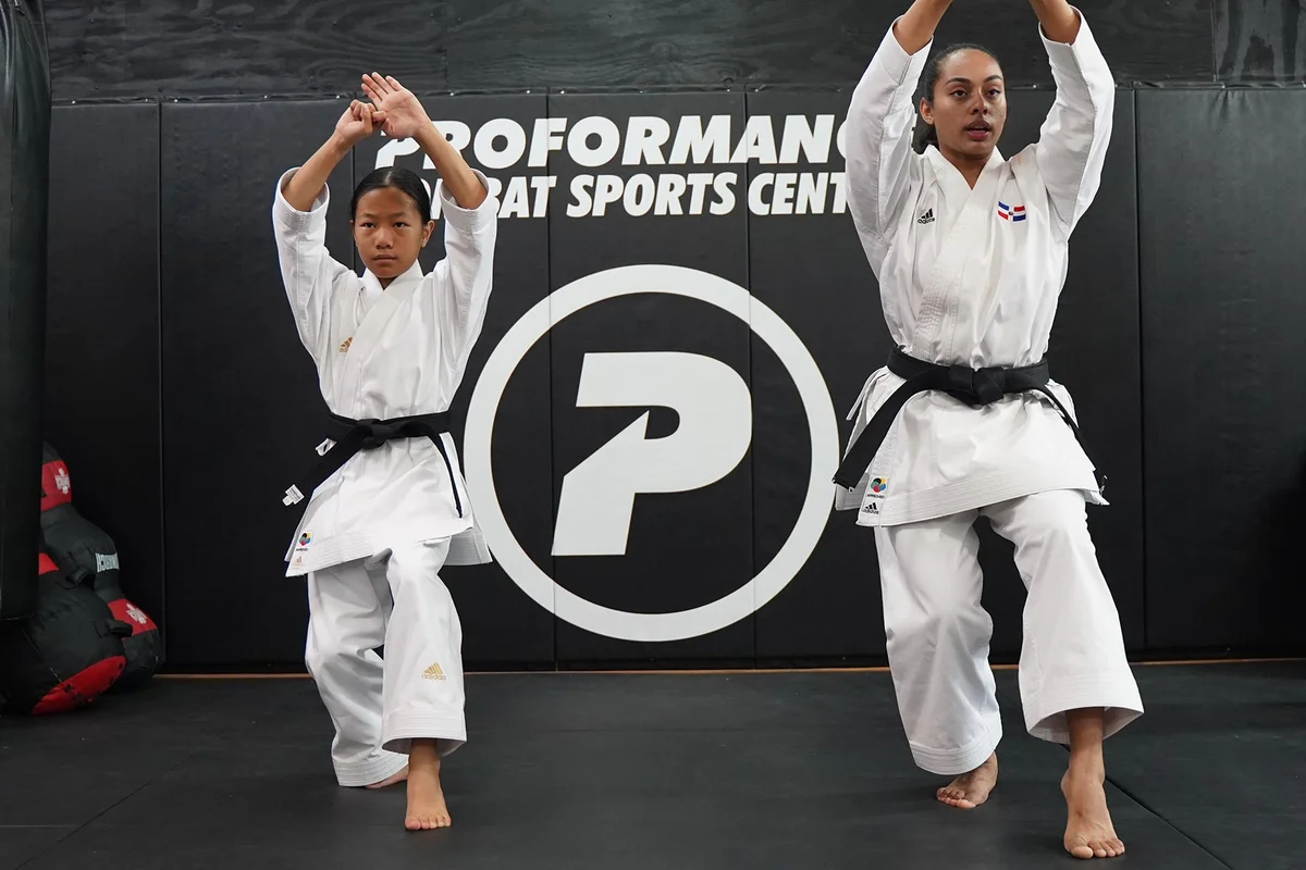 Proformance Combat Sports academy photo