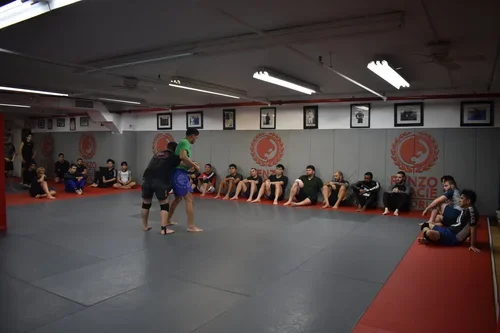 Renzo Gracie Queens academy photo