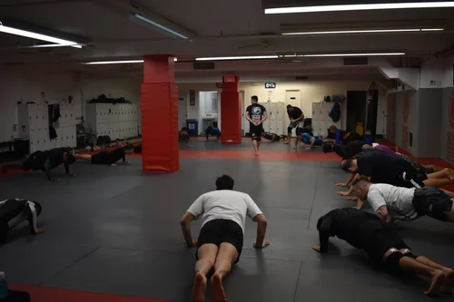 Renzo Gracie Queens academy photo