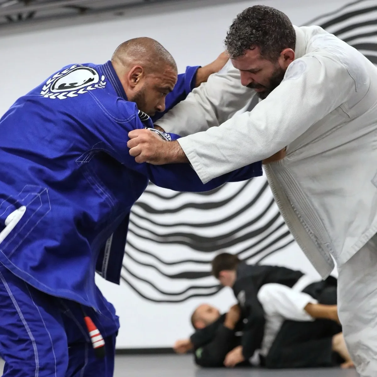 Renzo Gracie Rockland academy photo