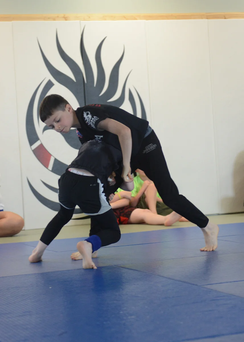 Rochester Phoenix Martial Arts academy photo