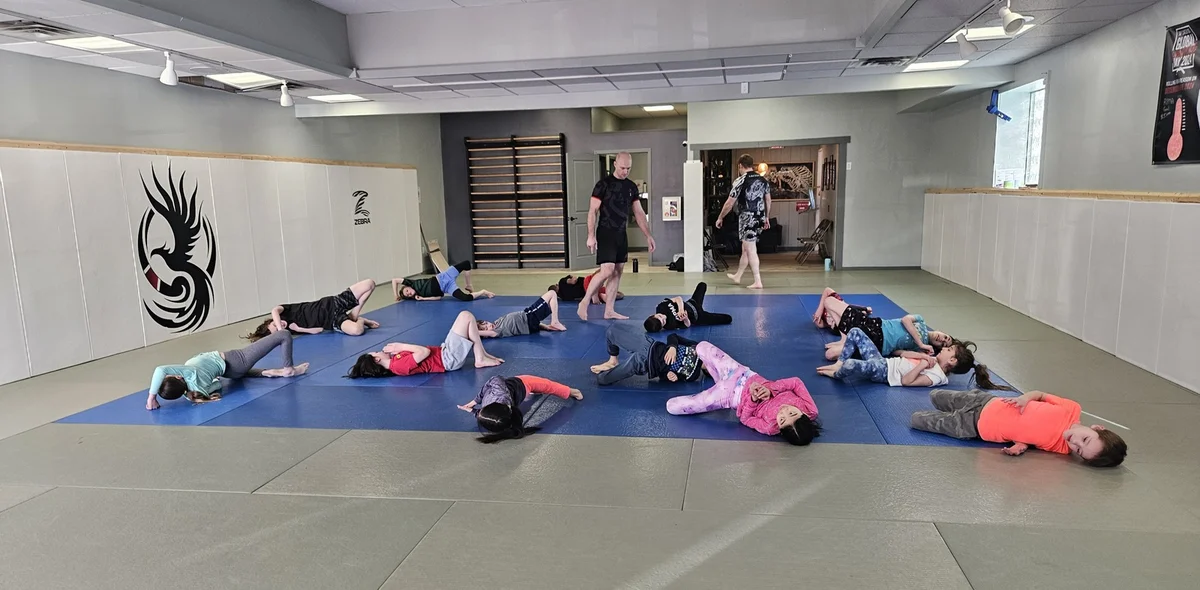 Rochester Phoenix Martial Arts academy photo
