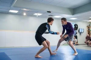Rochester Phoenix Martial Arts academy photo